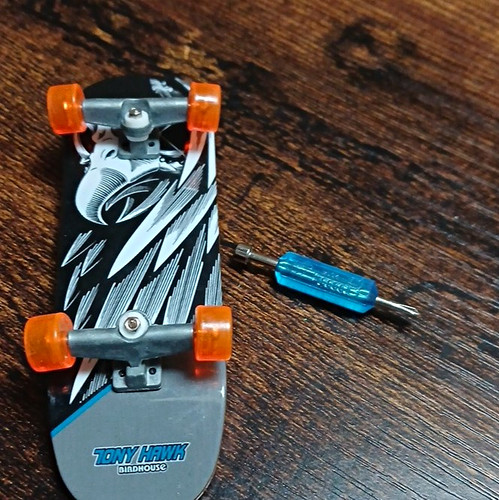 Tony hawk birdhouse tech - birdhouse,
